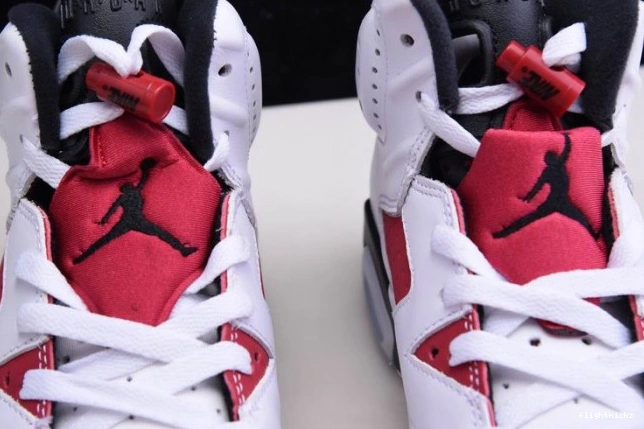 2021 AIR 'CARMINE' 6 JORDAN RETRO CT8529-106 0818
